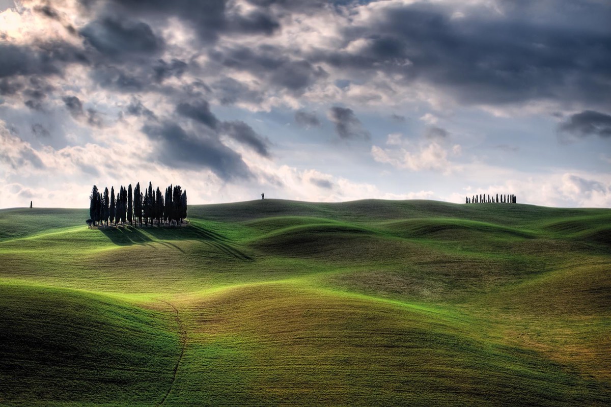 The iconic cypress trees of San Quirico d'Orcia representing the elegant Tuscan wedding landscape